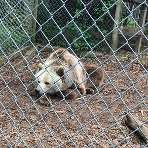 Meet your Posher, Lilly